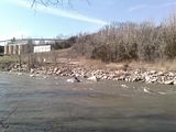 Rich and the Narrows